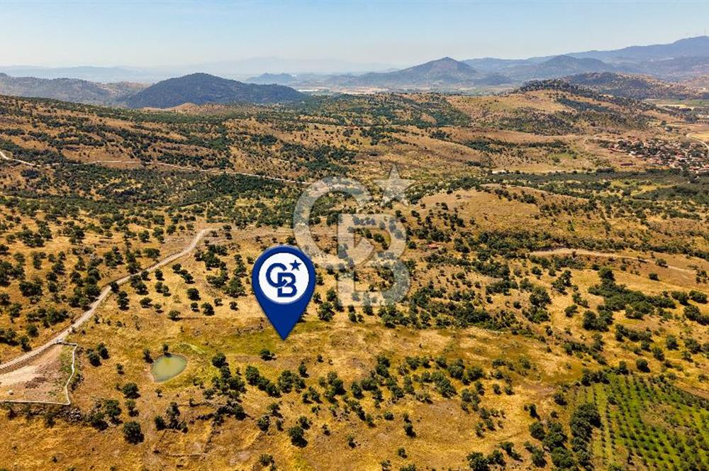Dikili Kızılçukur'da 17.446 m2 Satılık Tarla