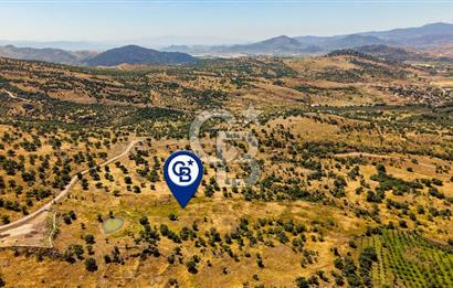 Dikili Kızılçukur'da 17.446 m2 Satılık Tarla