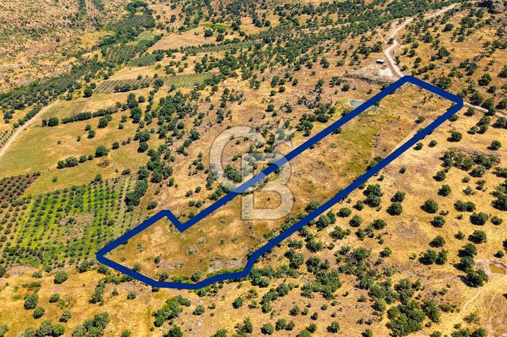 Dikili Kızılçukur'da 17.446 m2 Satılık Tarla