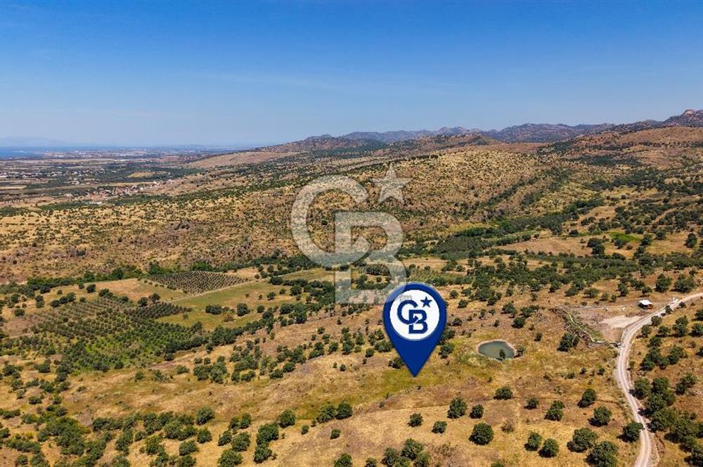 Dikili Kızılçukur'da 17.446 m2 Satılık Tarla