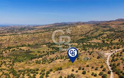 Dikili Kızılçukur'da 17.446 m2 Satılık Tarla