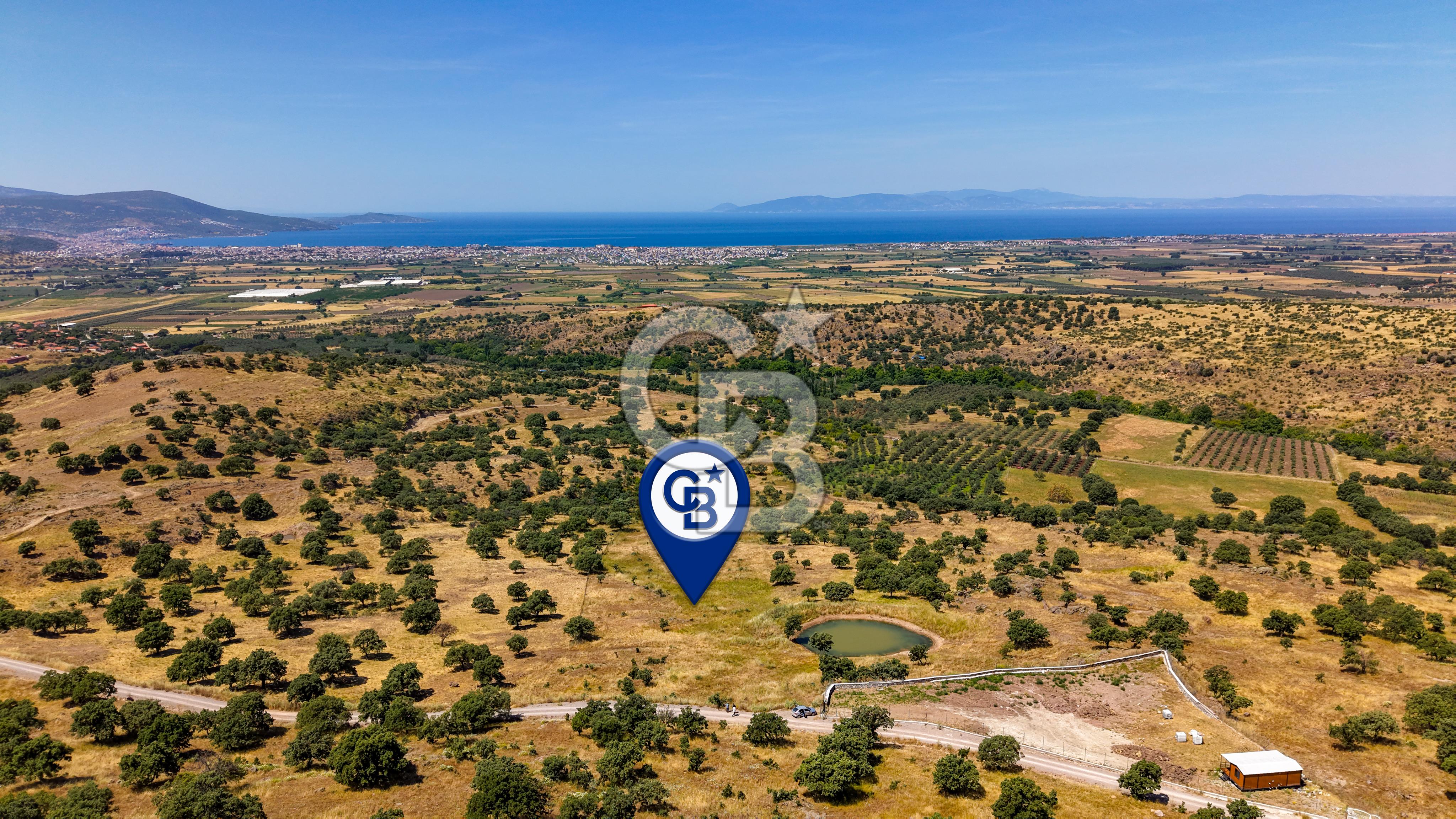 Dikili Kızılçukur'da 17.446 m2 Satılık Tarla