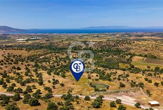 Dikili Kızılçukur'da 17.446 m2 Satılık Tarla - 9 - 352563