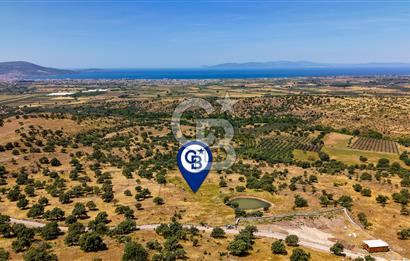Dikili Kızılçukur'da 17.446 m2 Satılık Tarla