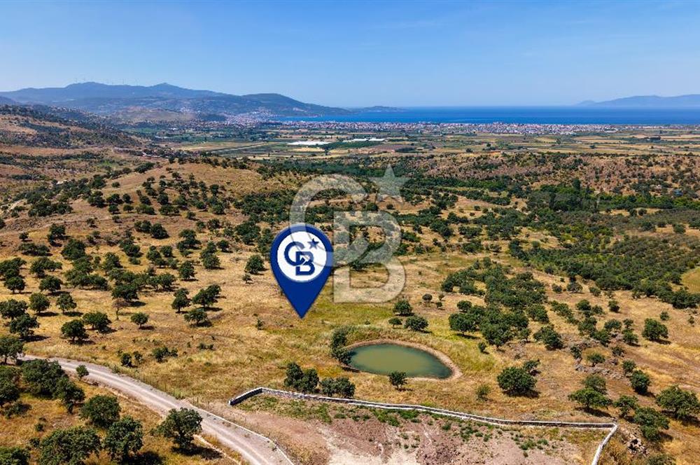 Dikili Kızılçukur'da 17.446 m2 Satılık Tarla
