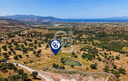 Dikili Kızılçukur'da 17.446 m2 Satılık Tarla