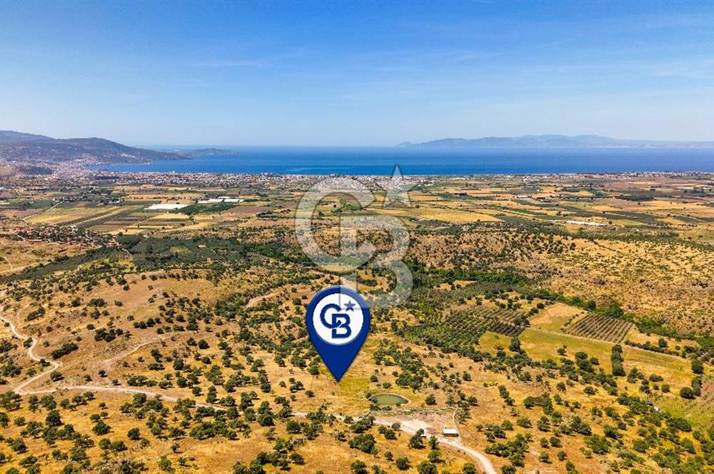 Dikili Kızılçukur'da 17.446 m2 Satılık Tarla