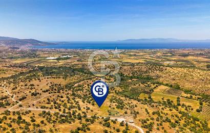 Dikili Kızılçukur'da 17.446 m2 Satılık Tarla