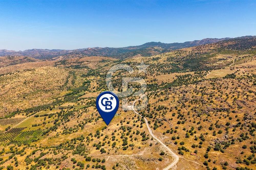Dikili Kızılçukur'da 17.446 m2 Satılık Tarla