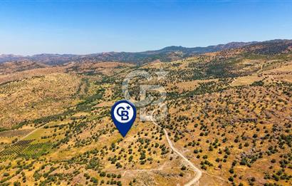 Dikili Kızılçukur'da 17.446 m2 Satılık Tarla