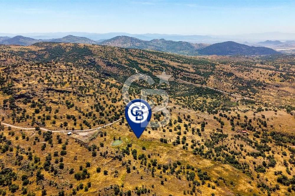 Dikili Kızılçukur'da 17.446 m2 Satılık Tarla