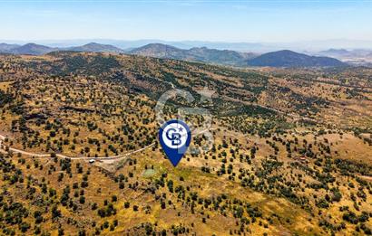 Dikili Kızılçukur'da 17.446 m2 Satılık Tarla