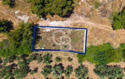 Foça Kozbeyli'de Satılık Villalara Yakın Tarla