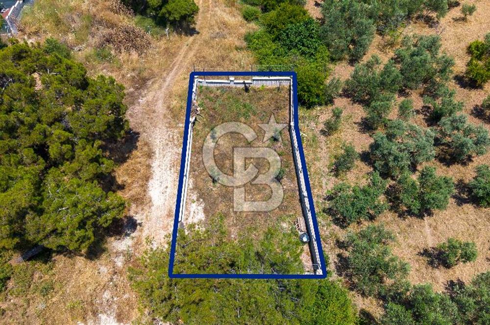 Foça Kozbeyli'de Satılık Villalara Yakın Tarla