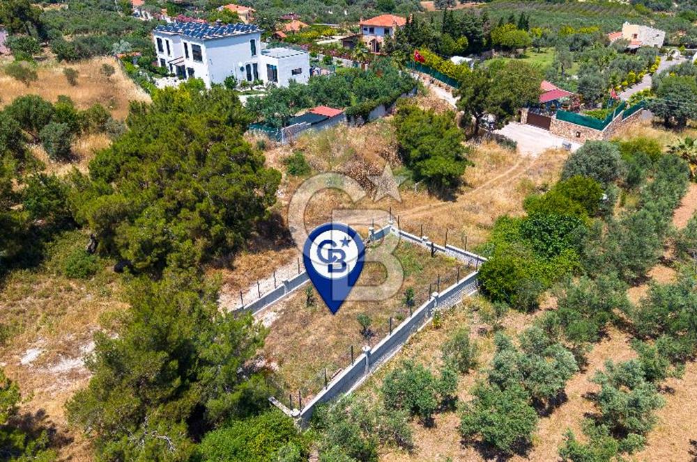 Foça Kozbeyli'de Satılık Villalara Yakın Tarla