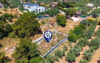 Foça Kozbeyli'de Satılık Villalara Yakın Tarla
