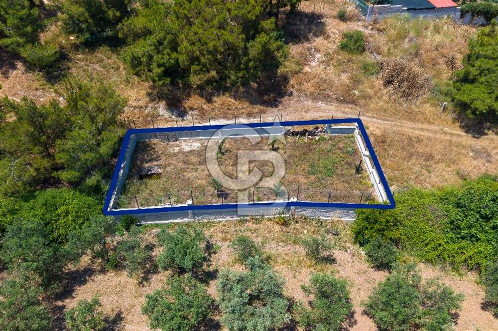 Foça Kozbeyli'de Satılık Villalara Yakın Tarla