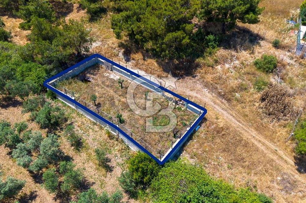 Foça Kozbeyli'de Satılık Villalara Yakın Tarla