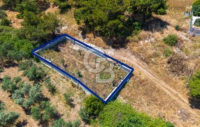 Foça Kozbeyli'de Satılık Villalara Yakın Tarla
