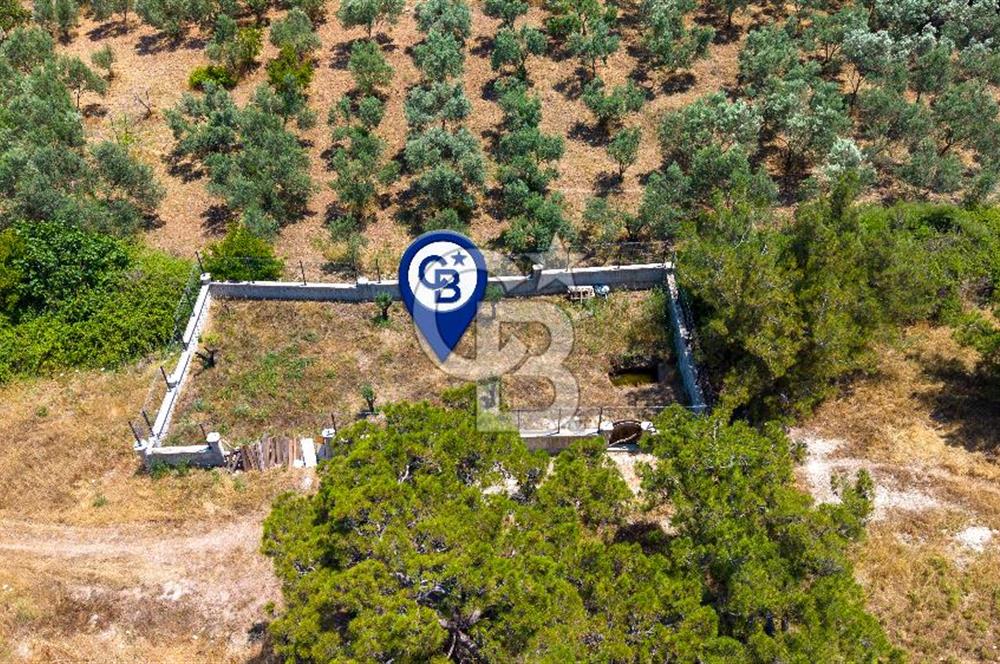 Foça Kozbeyli'de Satılık Villalara Yakın Tarla