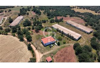 KIRKLARELİ MERKEZ YÖRÜKBAYIRDA 531.173 m2 YATIRIM ALAN - 5 - 352581