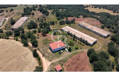KIRKLARELİ MERKEZ YÖRÜKBAYIRDA 531.173 m2 YATIRIM ALAN
