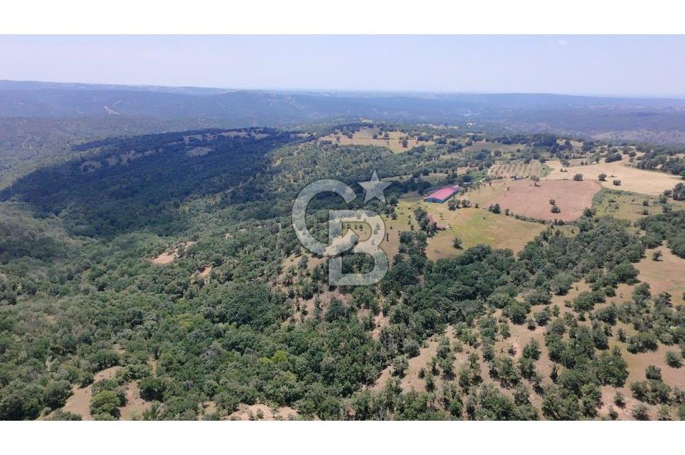 KIRKLARELİ MERKEZ YÖRÜKBAYIRDA 531.173 m2 YATIRIM ALAN