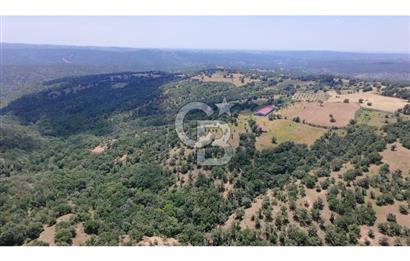 KIRKLARELİ MERKEZ YÖRÜKBAYIRDA 531.173 m2 YATIRIM ALAN