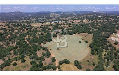 KIRKLARELİ MERKEZ YÖRÜKBAYIRDA 531.173 m2 YATIRIM ALAN