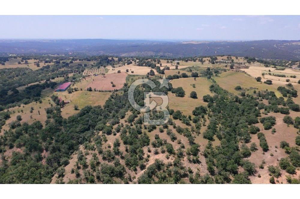 KIRKLARELİ MERKEZ YÖRÜKBAYIRDA 531.173 m2 YATIRIM ALAN