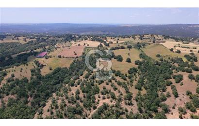 KIRKLARELİ MERKEZ YÖRÜKBAYIRDA 531.173 m2 YATIRIM ALAN