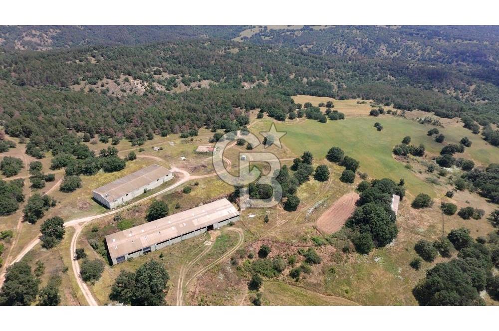 KIRKLARELİ MERKEZ YÖRÜKBAYIRDA 531.173 m2 YATIRIM ALAN
