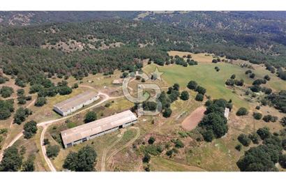KIRKLARELİ MERKEZ YÖRÜKBAYIRDA 531.173 m2 YATIRIM ALAN