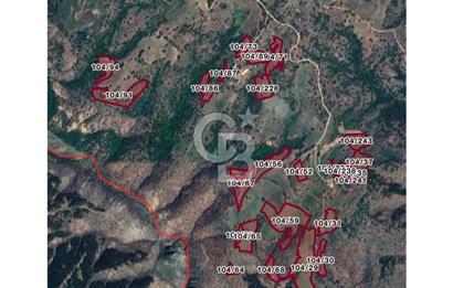 KIRKLARELİ MERKEZ YÖRÜKBAYIRDA 531.173 m2 YATIRIM ALAN