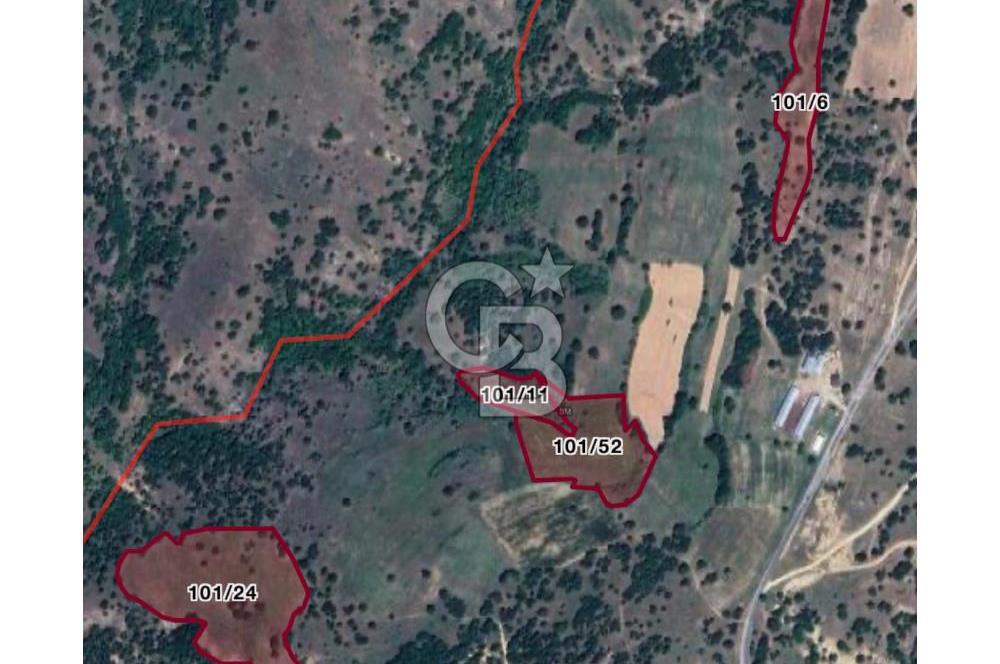 KIRKLARELİ MERKEZ YÖRÜKBAYIRDA 531.173 m2 YATIRIM ALAN