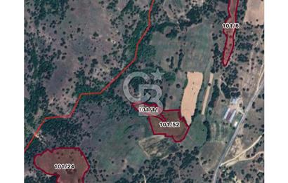 KIRKLARELİ MERKEZ YÖRÜKBAYIRDA 531.173 m2 YATIRIM ALAN