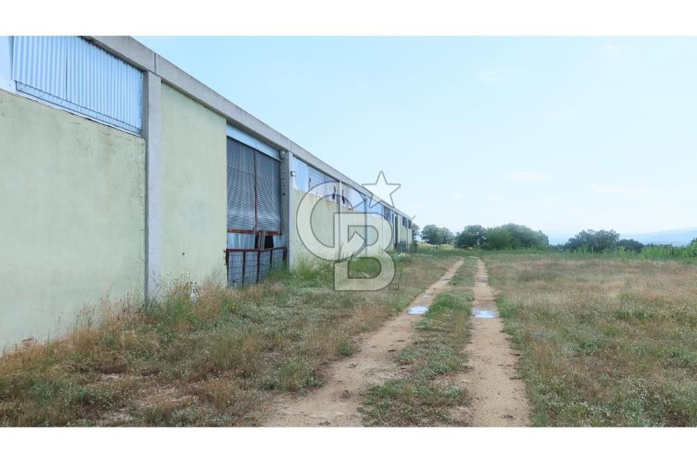 KIRKLARELİ MERKEZ YÖRÜKBAYIRDA 531.173 m2 YATIRIM ALAN