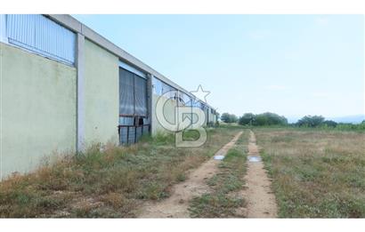 KIRKLARELİ MERKEZ YÖRÜKBAYIRDA 531.173 m2 YATIRIM ALAN