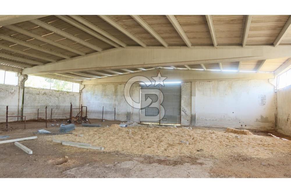 KIRKLARELİ MERKEZ YÖRÜKBAYIRDA 531.173 m2 YATIRIM ALAN