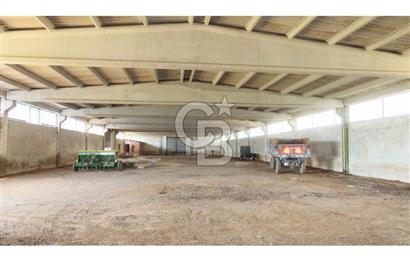KIRKLARELİ MERKEZ YÖRÜKBAYIRDA 531.173 m2 YATIRIM ALAN