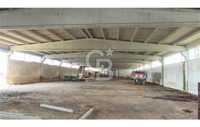 KIRKLARELİ MERKEZ YÖRÜKBAYIRDA 531.173 m2 YATIRIM ALAN