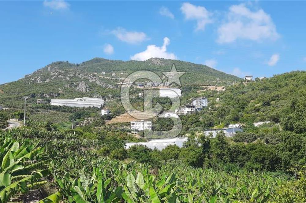 Alanya Marina Dibinde 500 Yataklı Otel/Resort Geliştirme Arsası