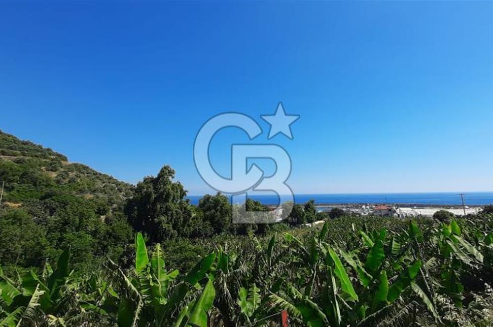 Alanya Marina Dibinde 500 Yataklı Otel/Resort Geliştirme Arsası