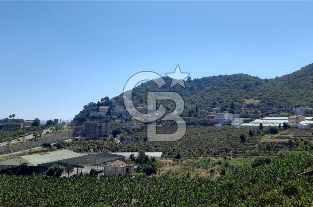 Alanya Marina Dibinde 500 Yataklı Otel/Resort Geliştirme Arsası