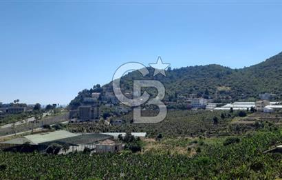 Alanya Marina Dibinde 500 Yataklı Otel/Resort Geliştirme Arsası