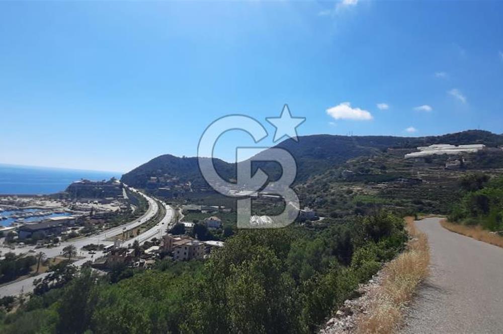 Alanya Marina Dibinde 500 Yataklı Otel/Resort Geliştirme Arsası