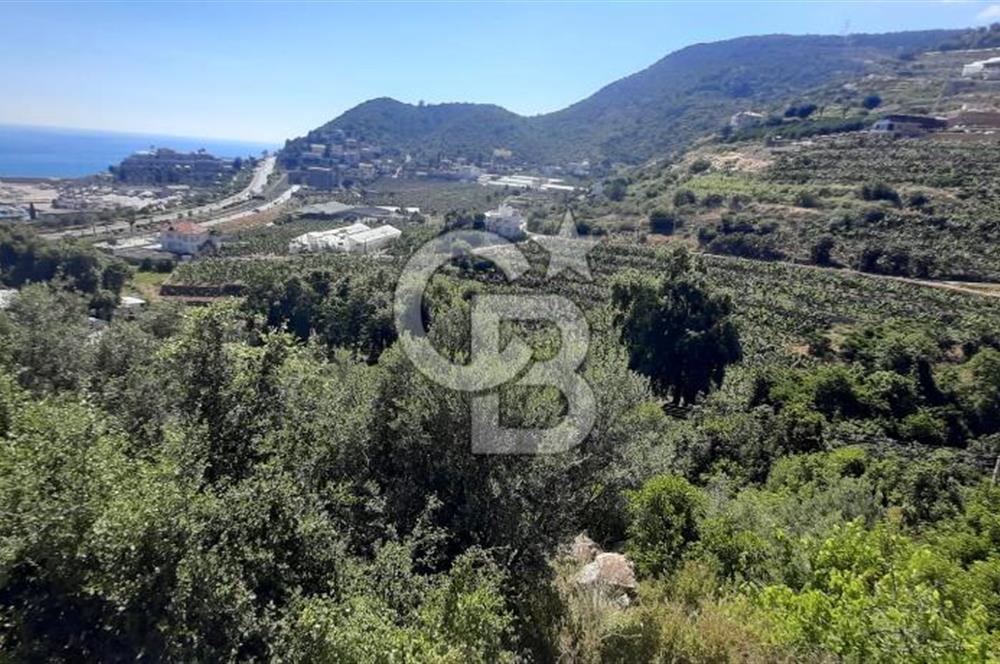 Alanya Marina Dibinde 500 Yataklı Otel/Resort Geliştirme Arsası