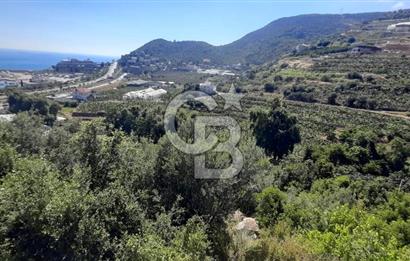 Alanya Marina Dibinde 500 Yataklı Otel/Resort Geliştirme Arsası