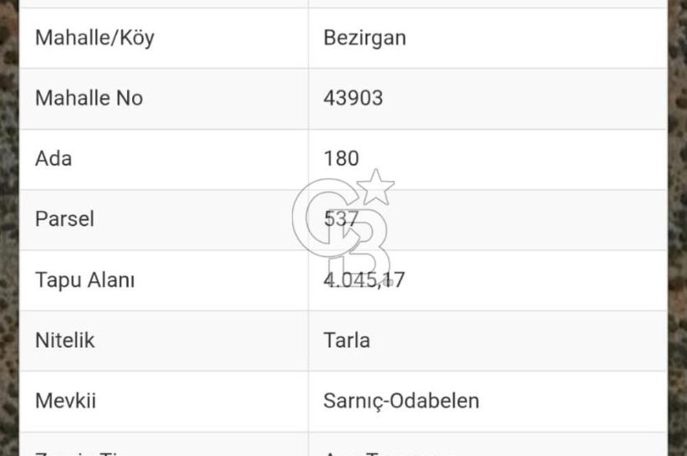CB GİZ'DEN KAPUTAŞ PLAJI VE ADALAR MANZARALI SATILIK 2B TARLA