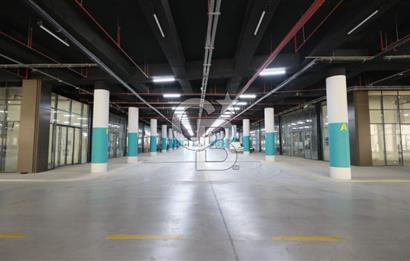 MEGA ŞAŞMAZ'DA GİRİŞ KATINDA SATILIK DÜKKAN